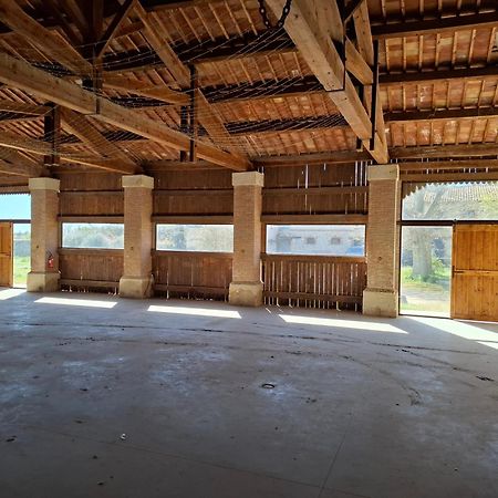 Mas De Bonnafoux Villa Beaucaire  Ngoại thất bức ảnh